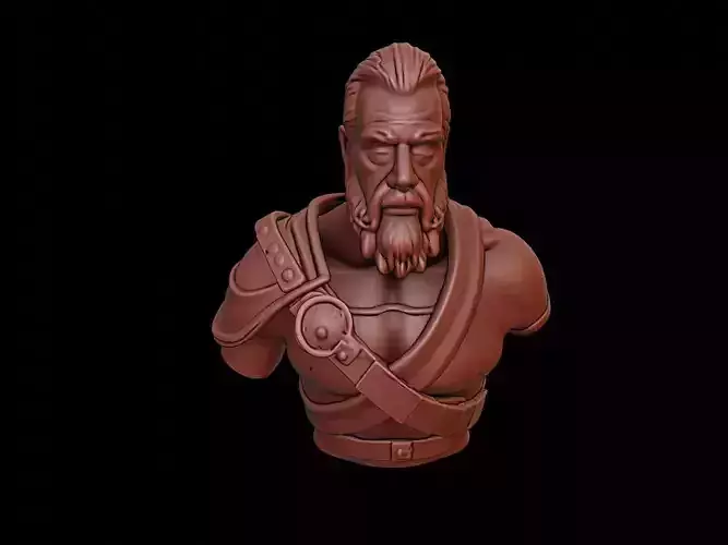 Tyr Bust