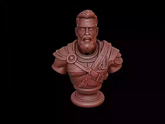 Tyr Bust
