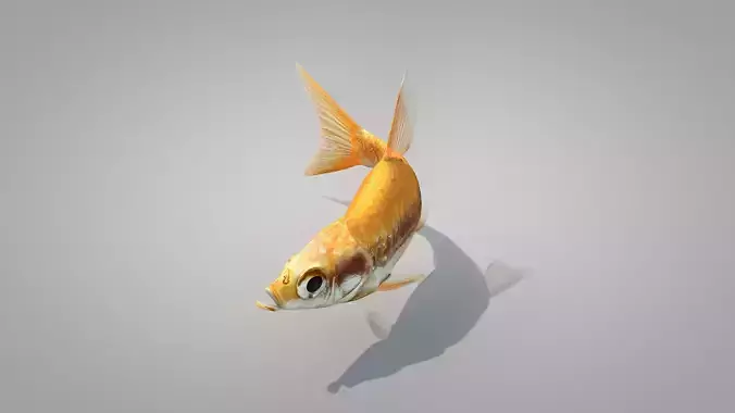 Fish Dourado 3D model
