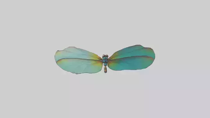 Dragonfly Wings Model Low-poly 3D model