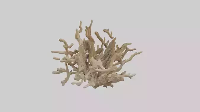 Driftwood Sculpture model
