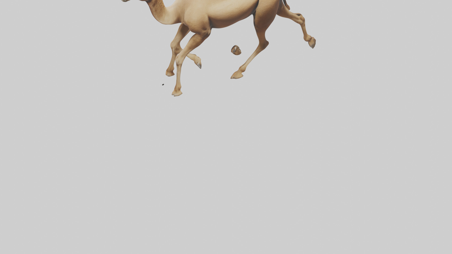 Dromedary Camel walking model Low-poly 3D model_5