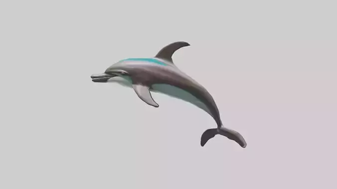 Dusky Dolphin statue model