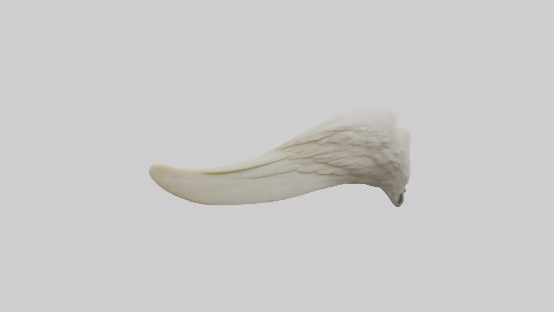 Eagle Beak Bone Low-poly 3D model_0