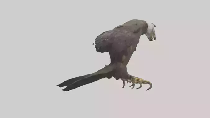 Eagle Talons Low-poly 3D model