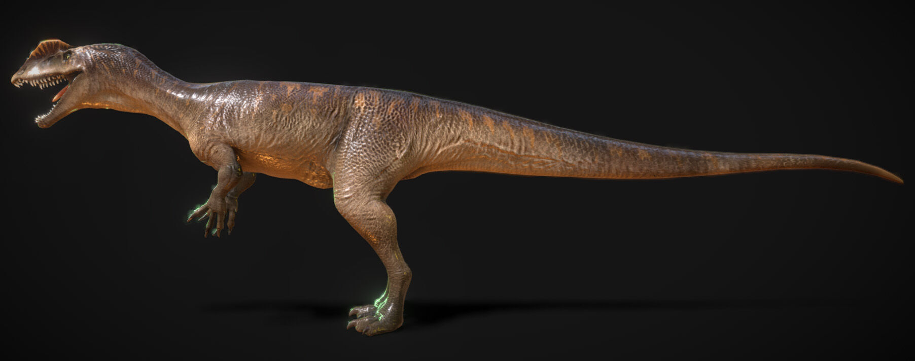 Dilophosaurus Low-poly 3D model_4