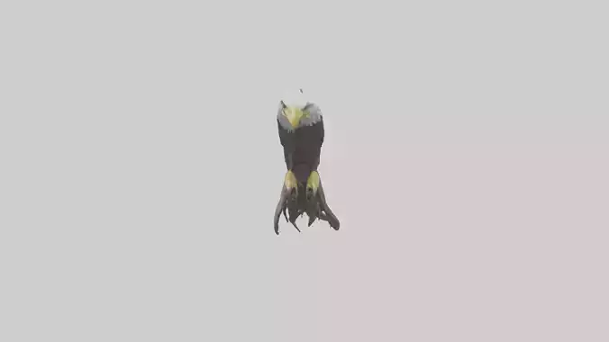 Eagle Talons Model Low-poly 3D model