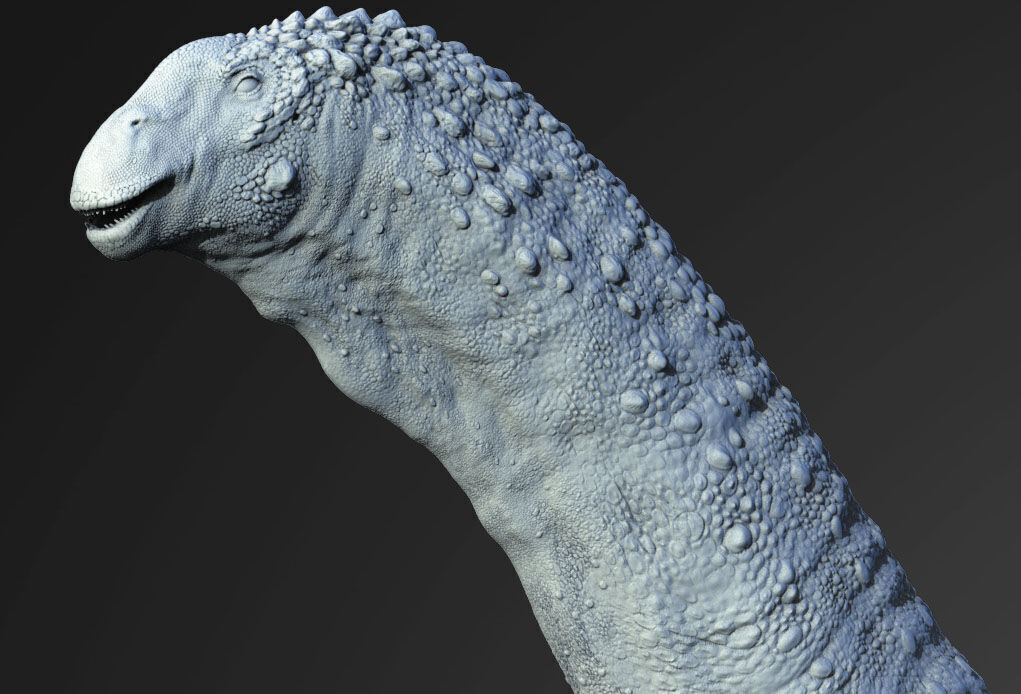 Alamosaurus 3D print model_3