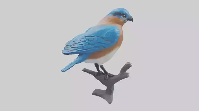 Eastern Bluebird statue model