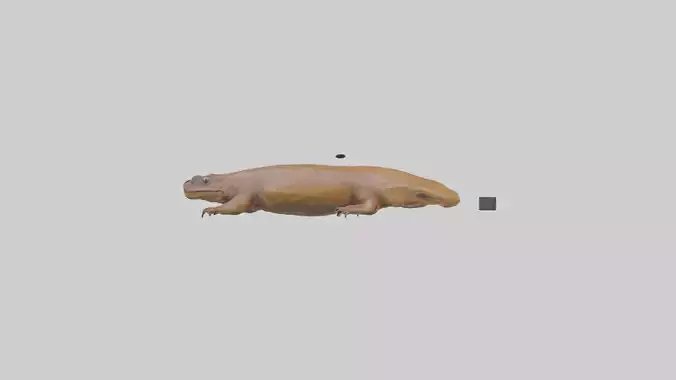Eastern Hellbender resting model