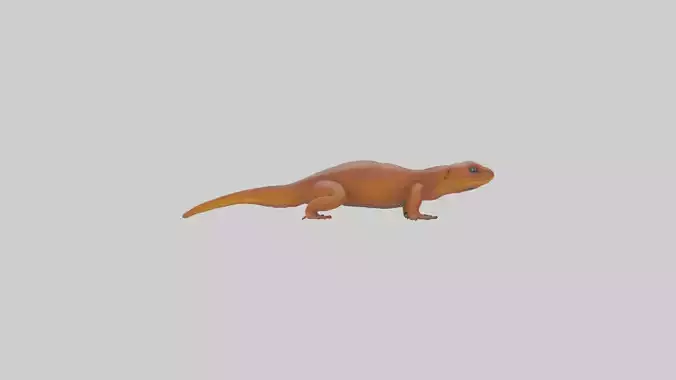 Eastern Newt crawling model