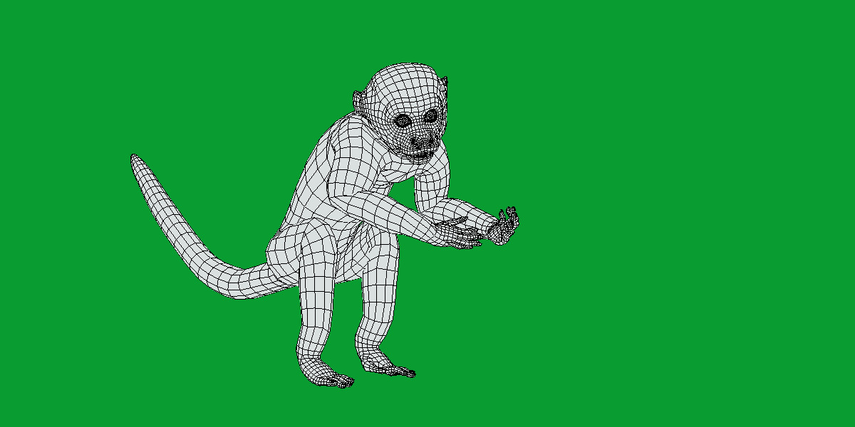 Capuchin Monkey Low-poly 3D model_13