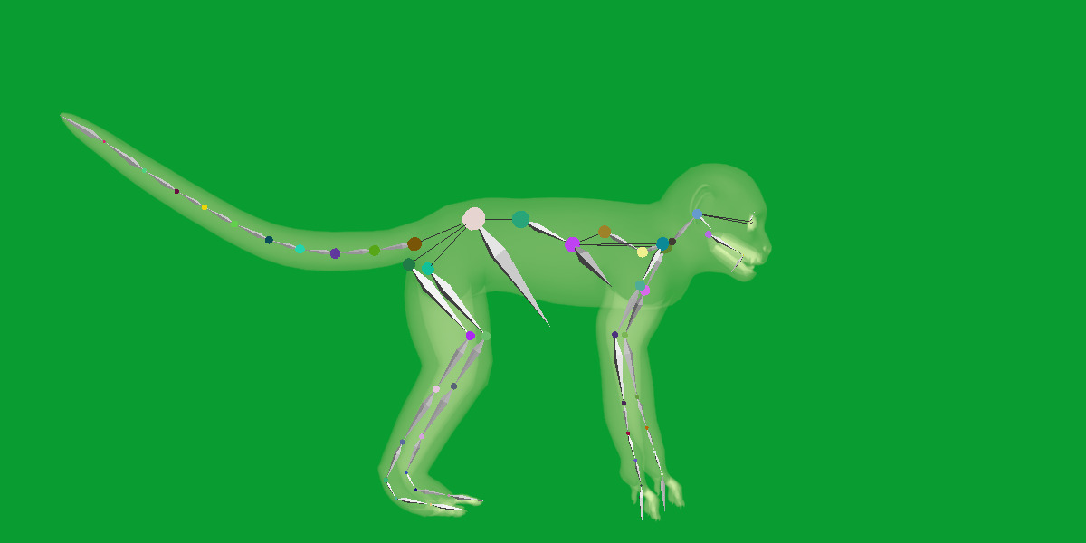 Capuchin Monkey Low-poly 3D model_25