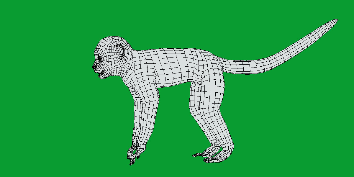 Capuchin Monkey Low-poly 3D model_12