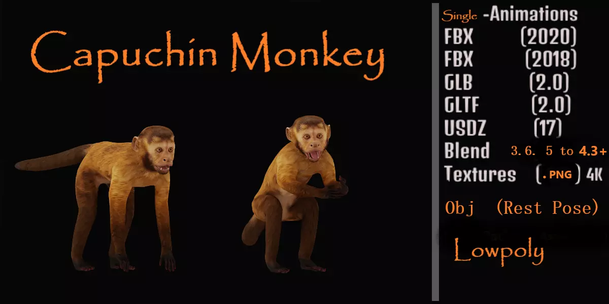 Capuchin Monkey Low-poly 3D model_0