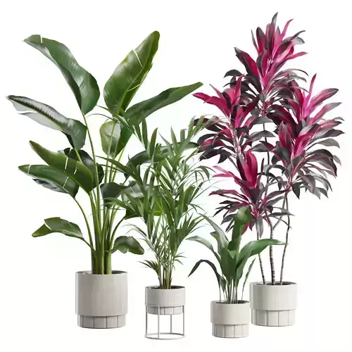 Indoor Plants Pack 86