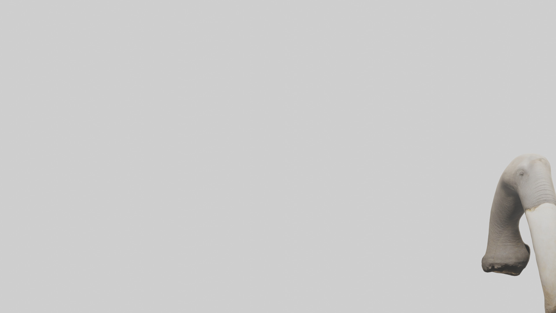 Elephant Femur Low-poly 3D model_21