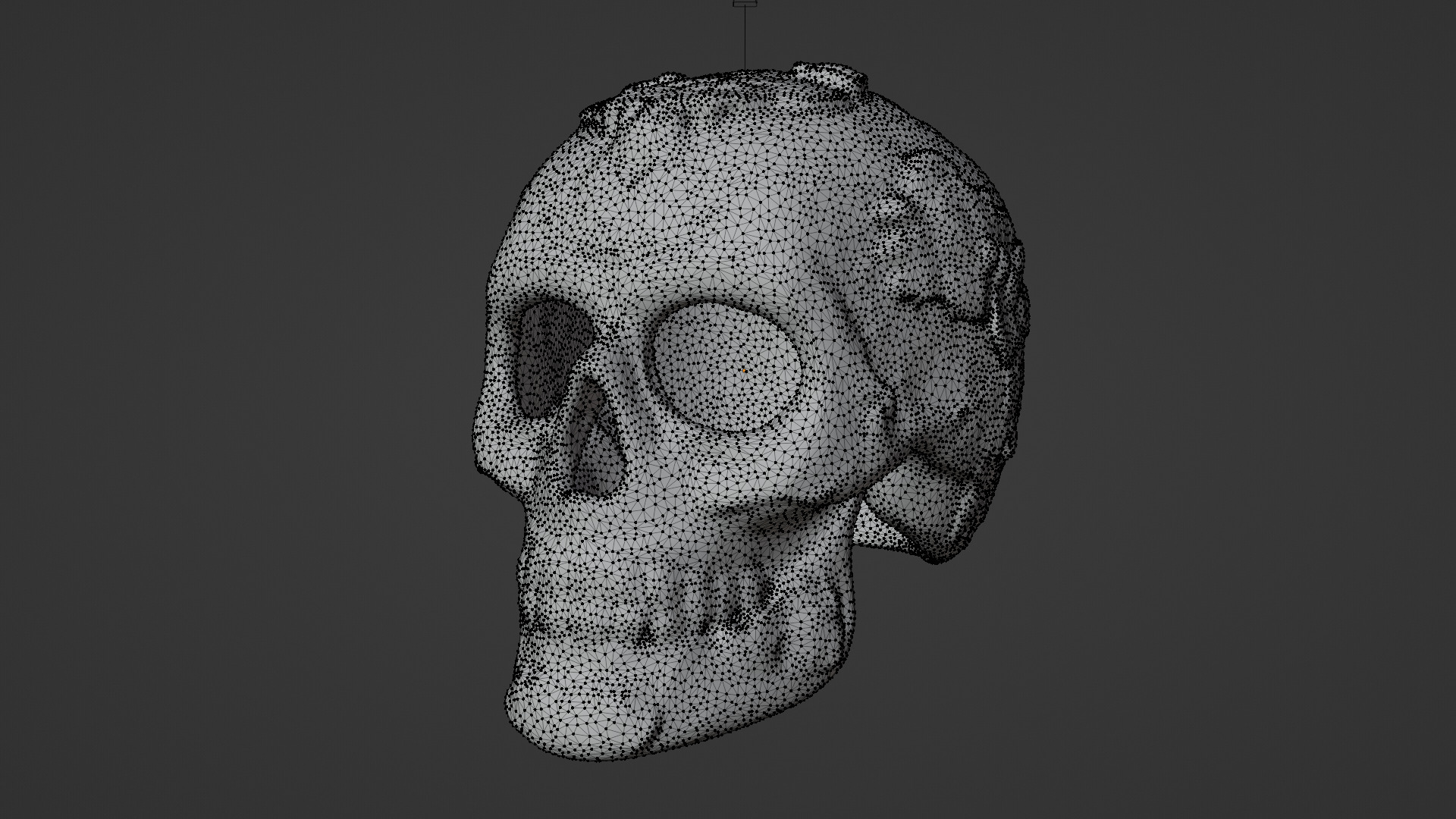 skull Low-poly 3D model_4