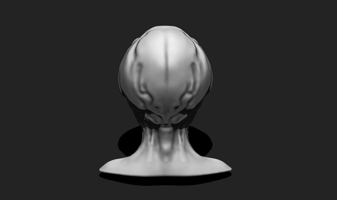 Alien Bust 6 - Extraterrestrial Sculpture STL File 3D print model_8