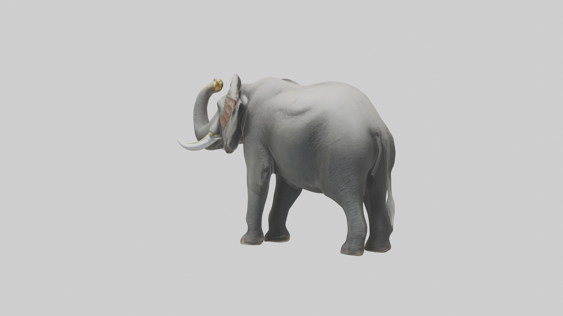 Elephant trumpeting model Low-poly 3D model_3