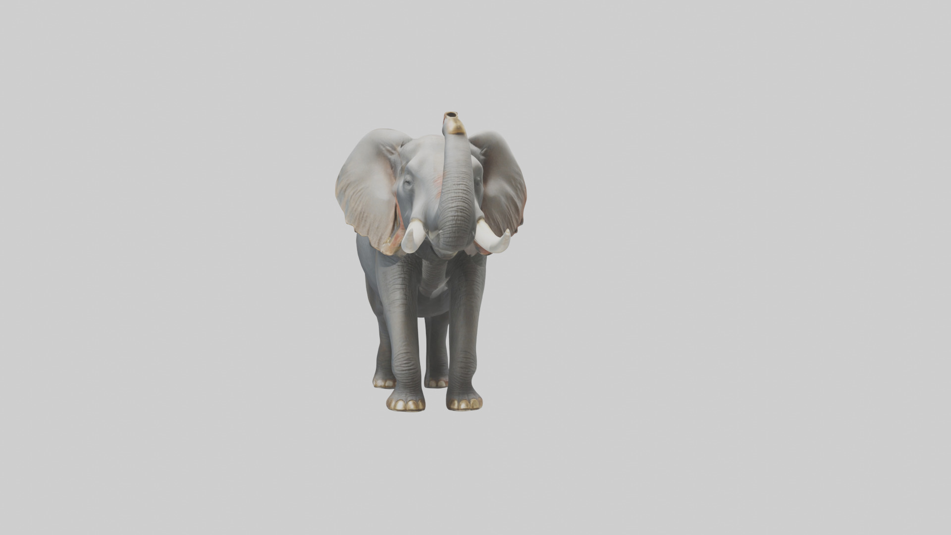 Elephant trumpeting model Low-poly 3D model_20