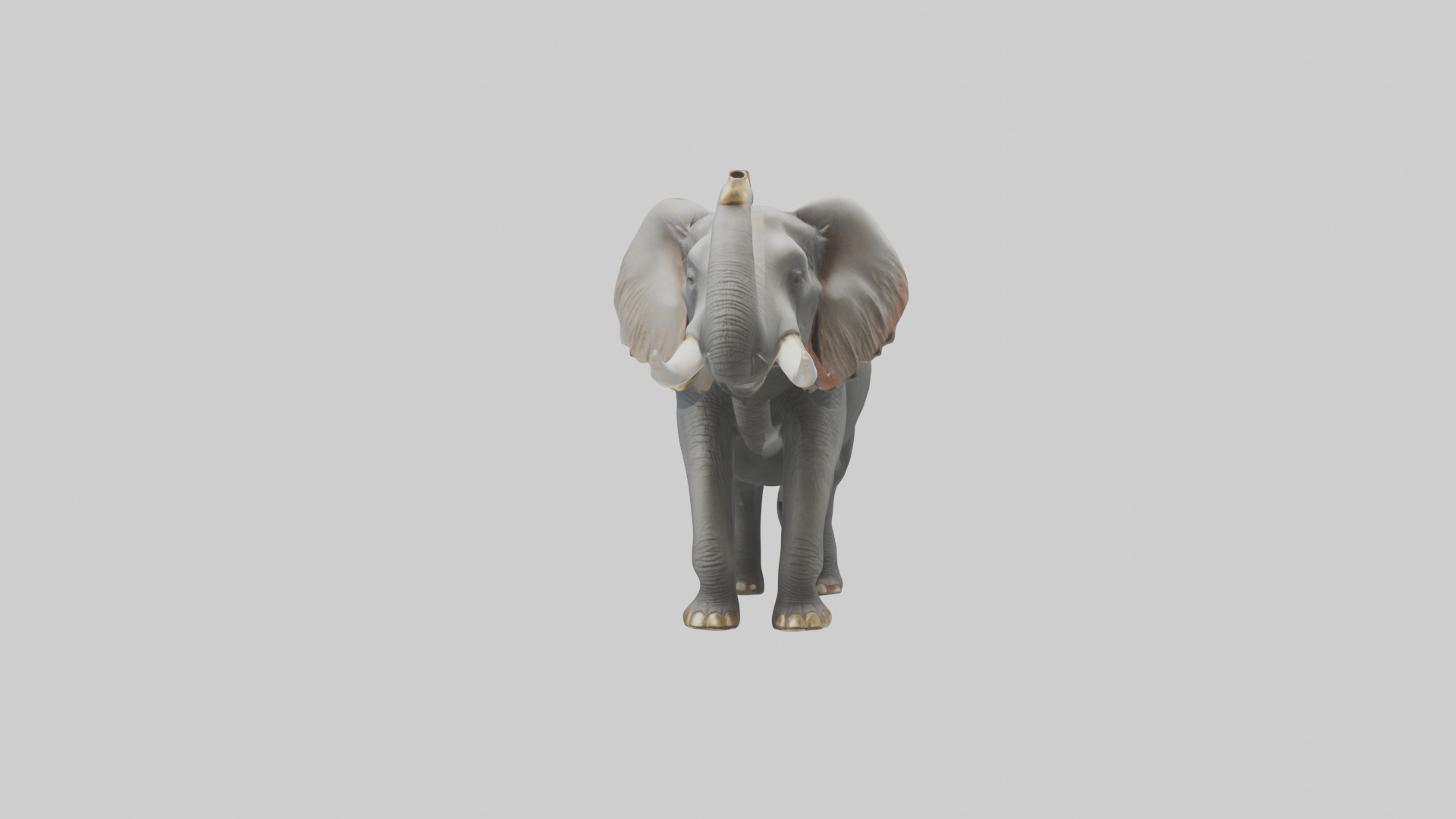 Elephant trumpeting model Low-poly 3D model_12
