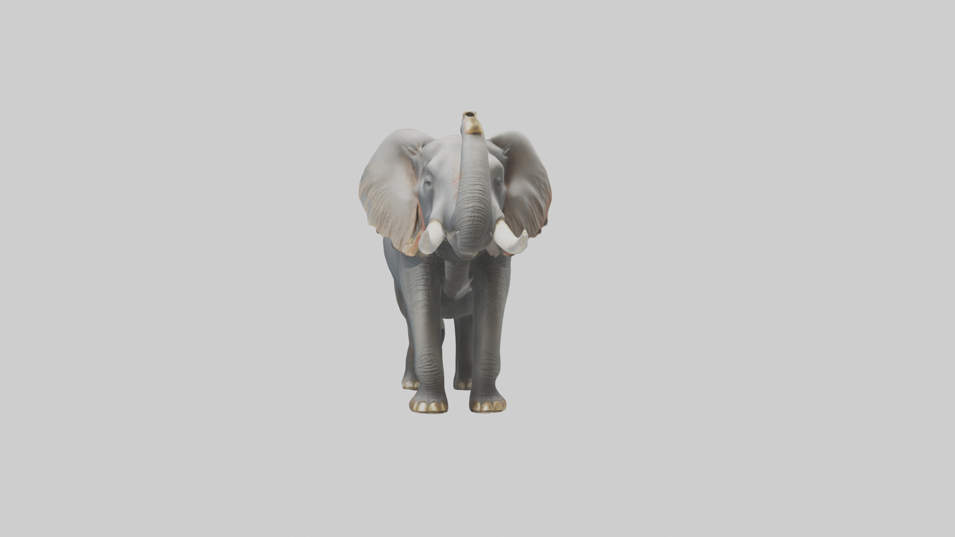 Elephant trumpeting model Low-poly 3D model_17