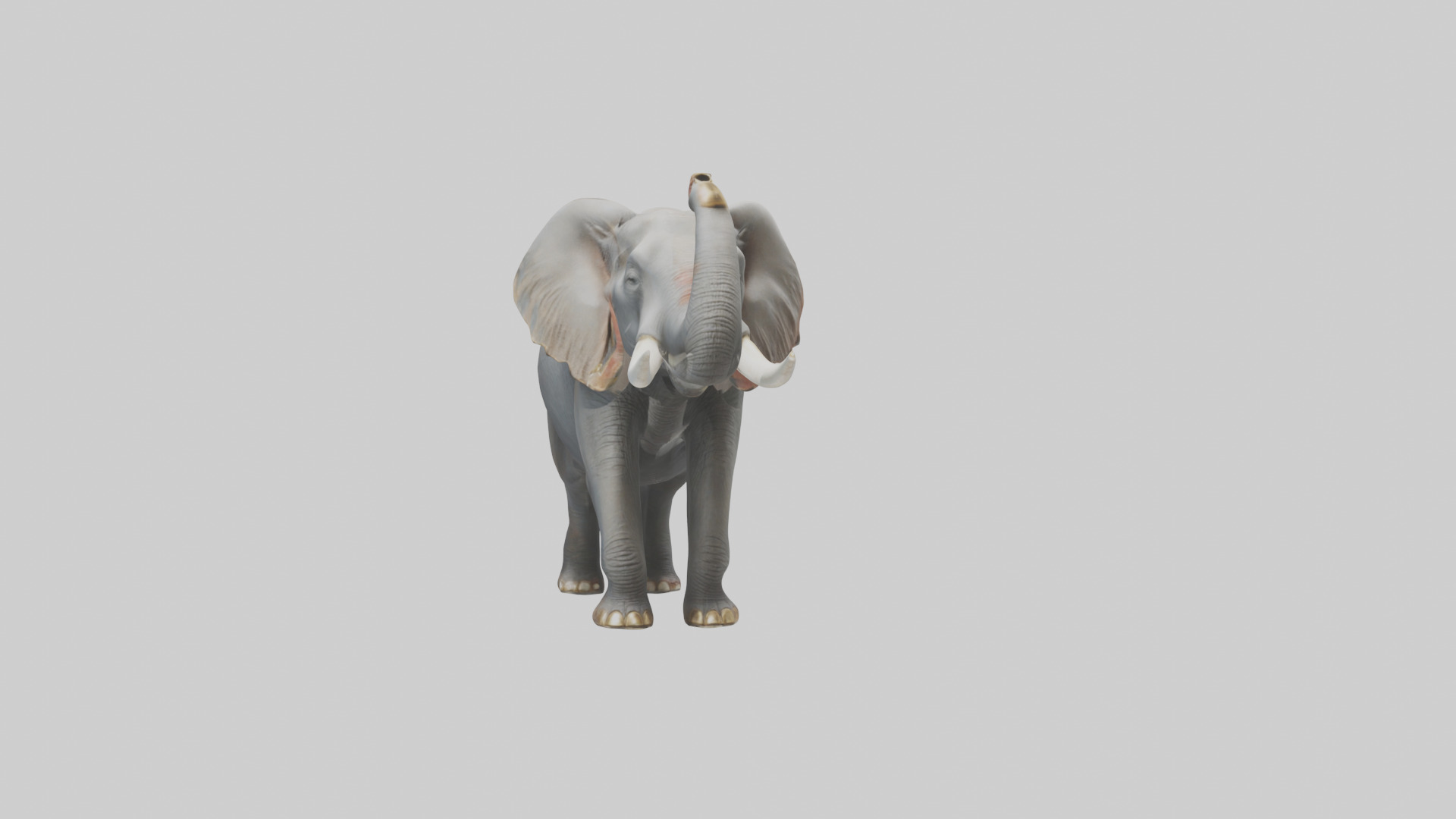 Elephant trumpeting model Low-poly 3D model_18