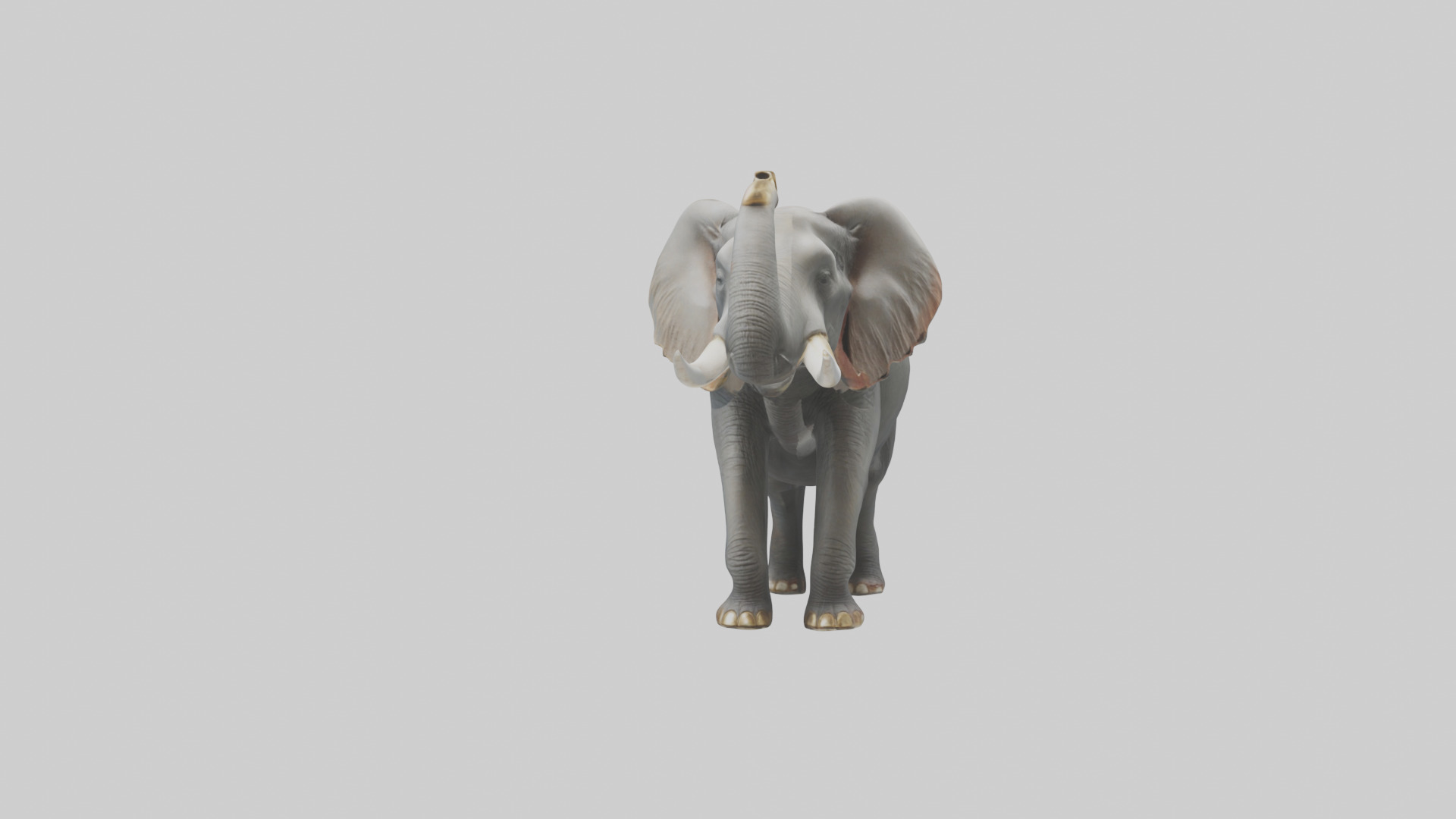 Elephant trumpeting model Low-poly 3D model_15