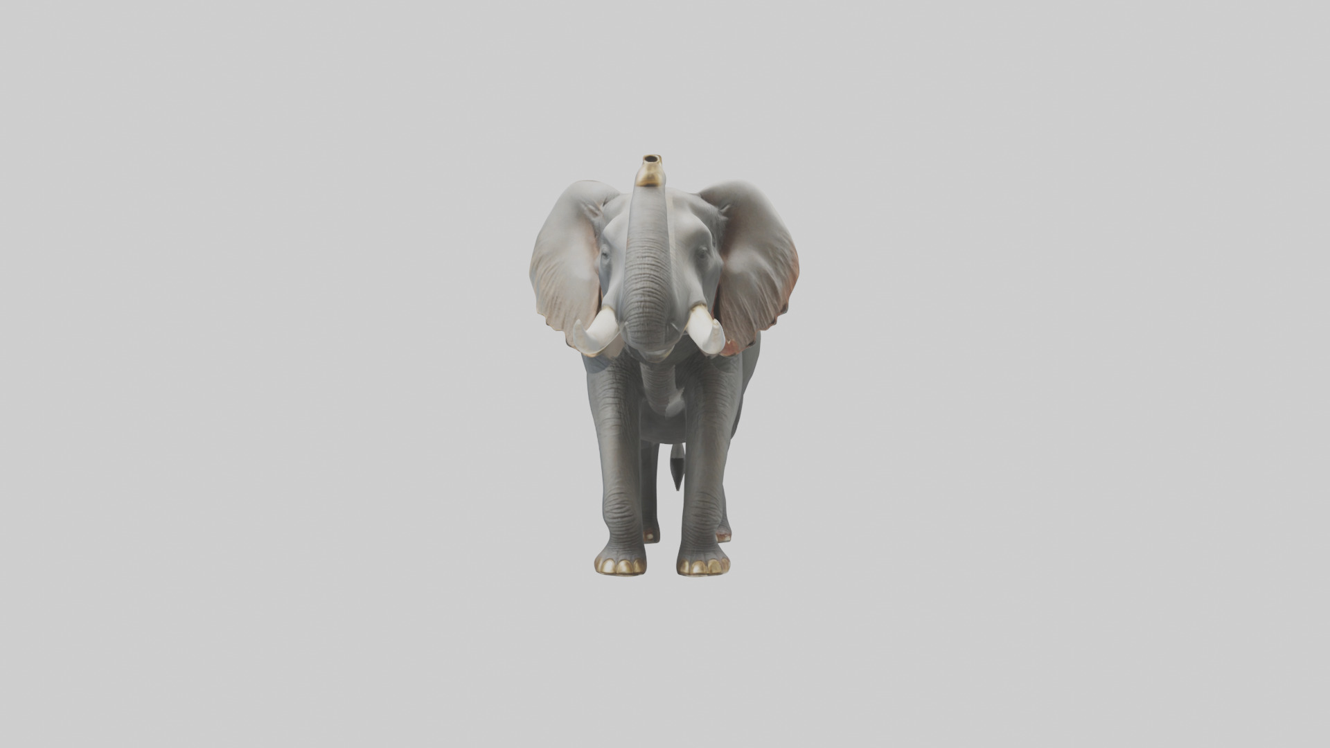 Elephant trumpeting model Low-poly 3D model_14