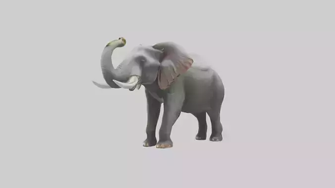 Elephant trumpeting model