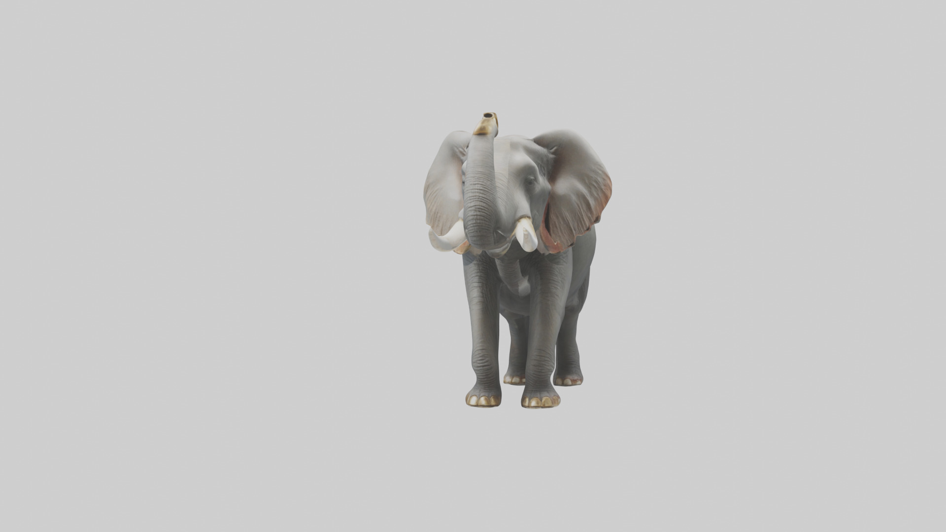 Elephant trumpeting model Low-poly 3D model_13