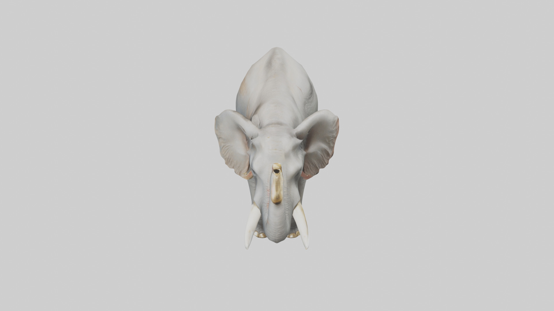 Elephant trumpeting model Low-poly 3D model_26