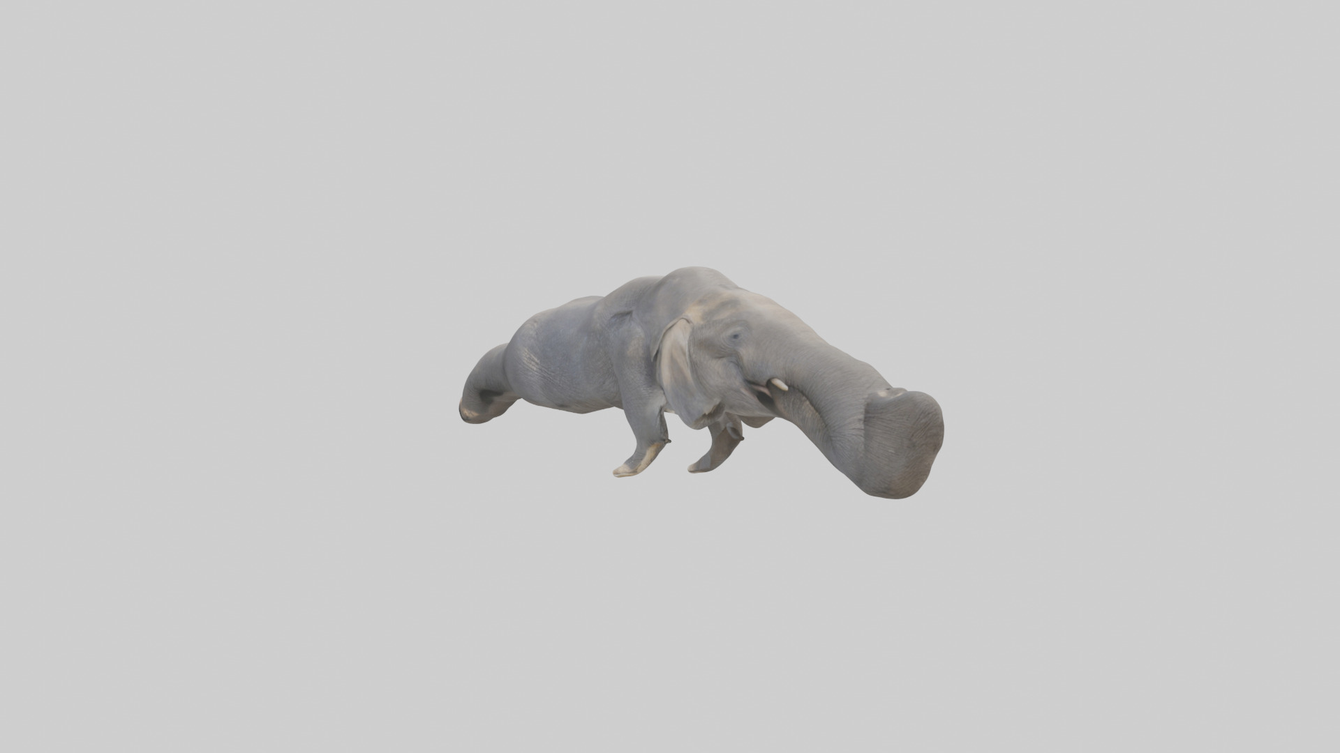 Elephant Trunk Low-poly 3D model_8