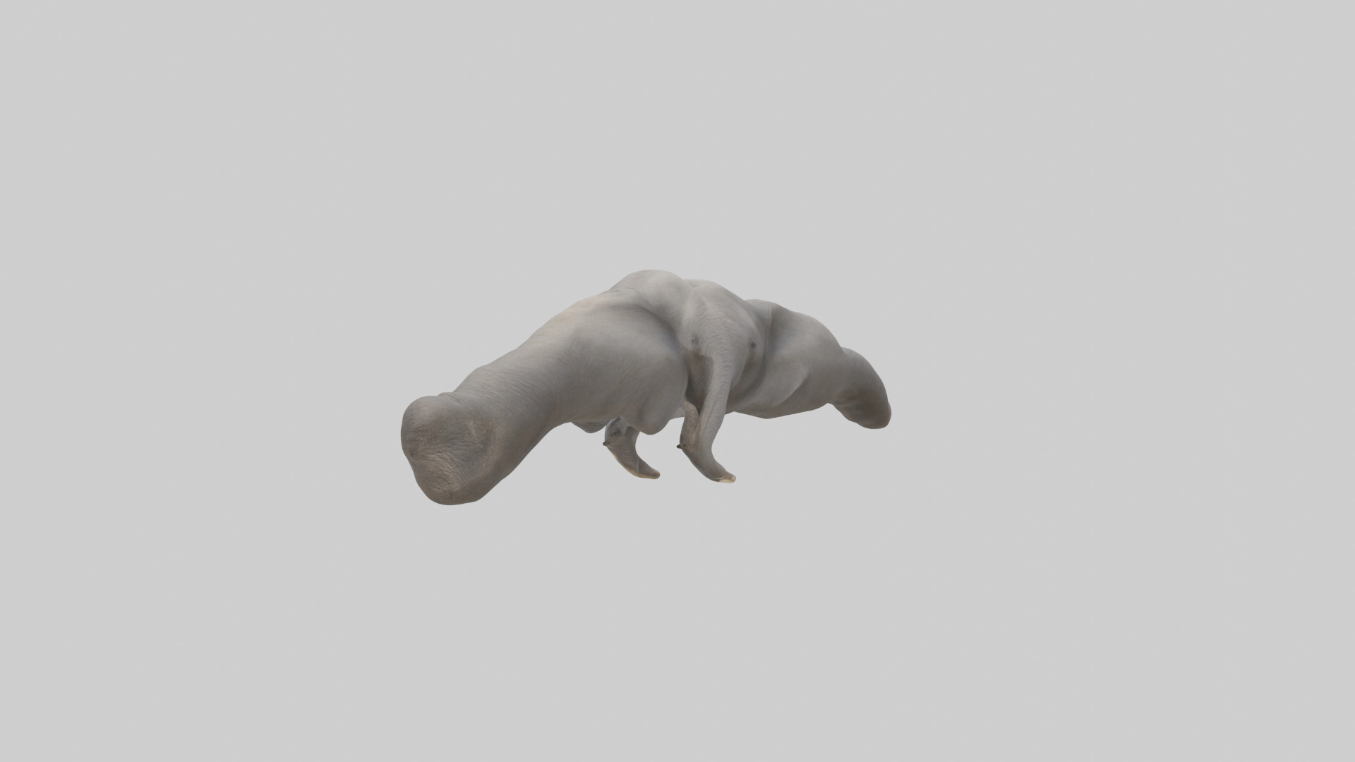 Elephant Trunk Low-poly 3D model_1