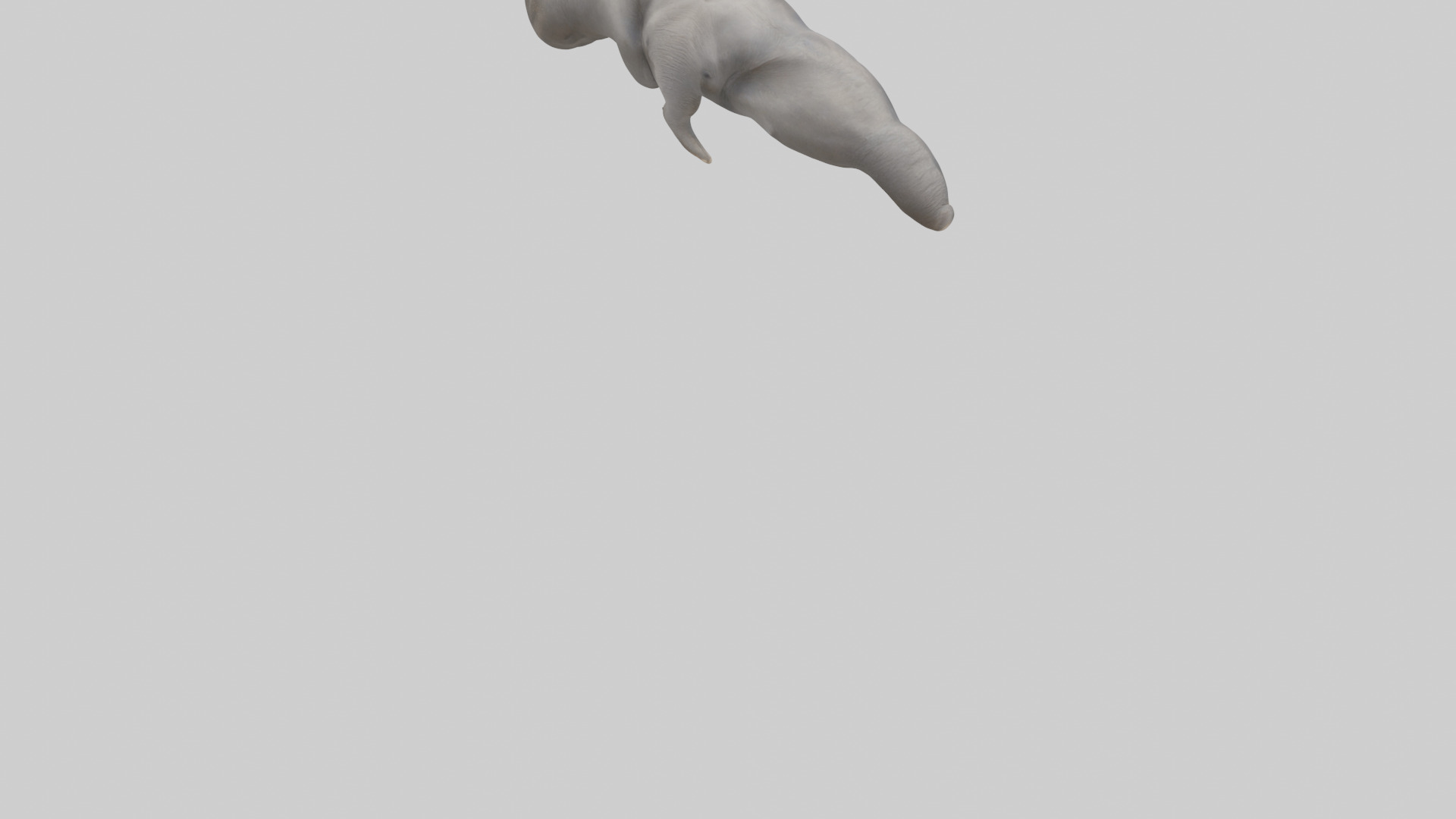 Elephant Trunk Low-poly 3D model_4