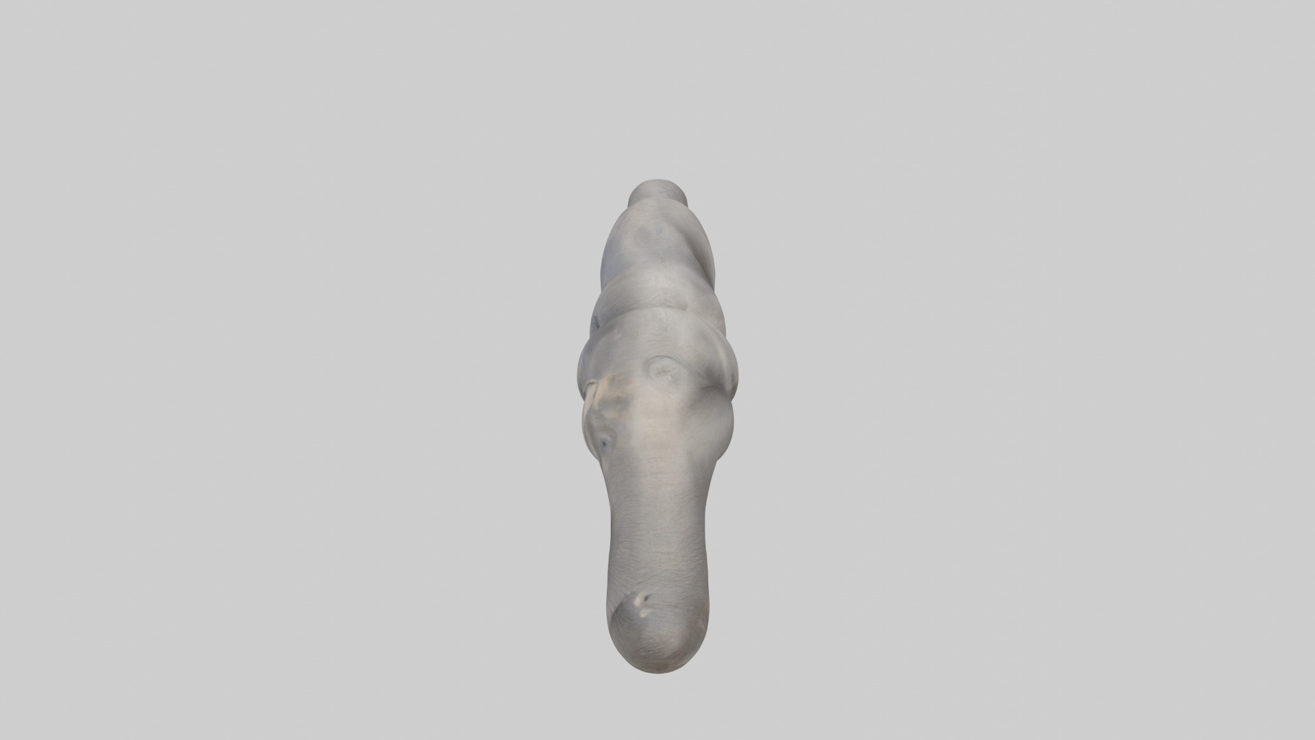 Elephant Trunk Low-poly 3D model_17
