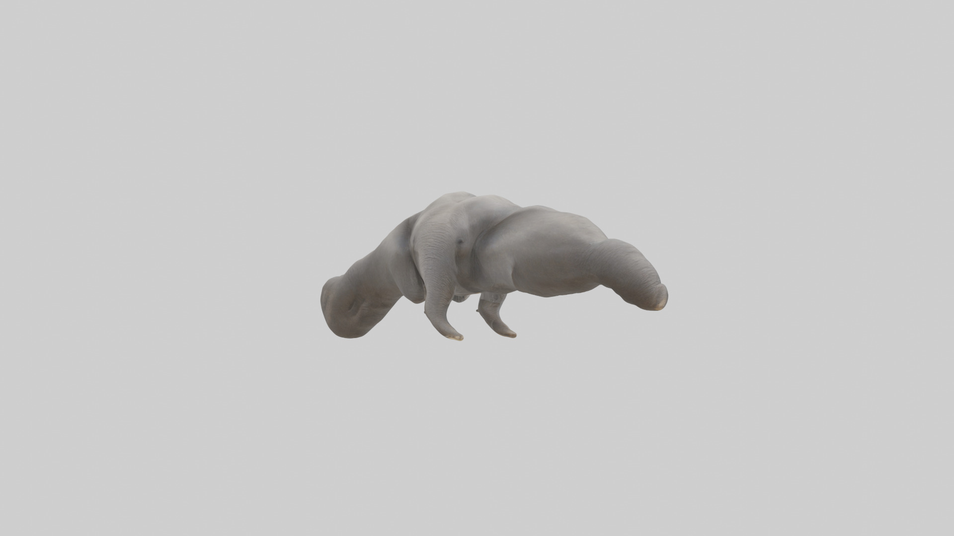 Elephant Trunk Low-poly 3D model_2