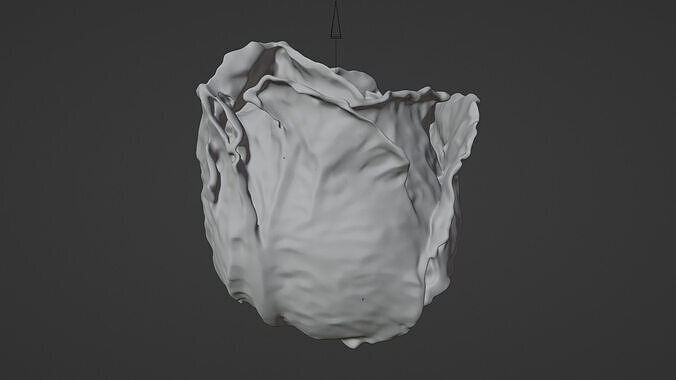 lettuce  Low-poly 3D model 4