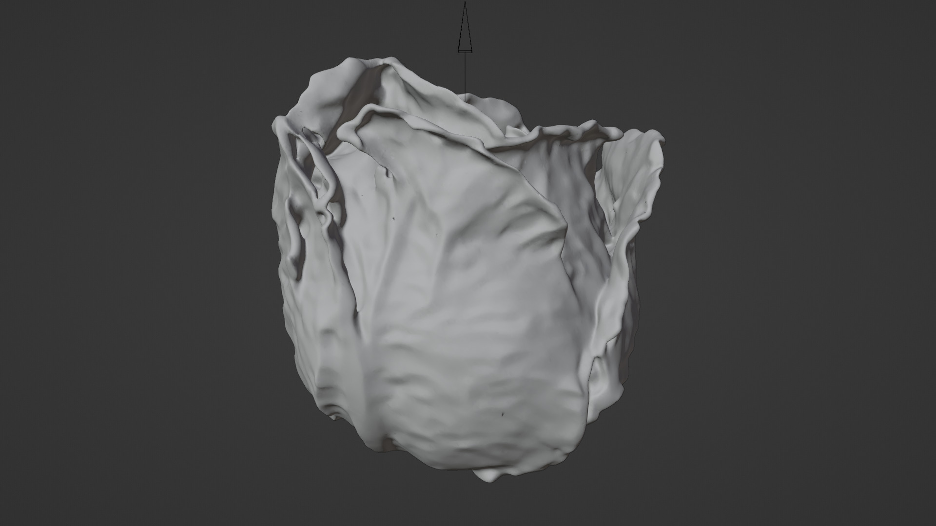 lettuce  Low-poly 3D model_4