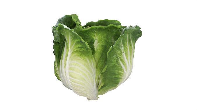lettuce  Low-poly 3D model 3