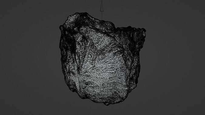 lettuce  Low-poly 3D model 5