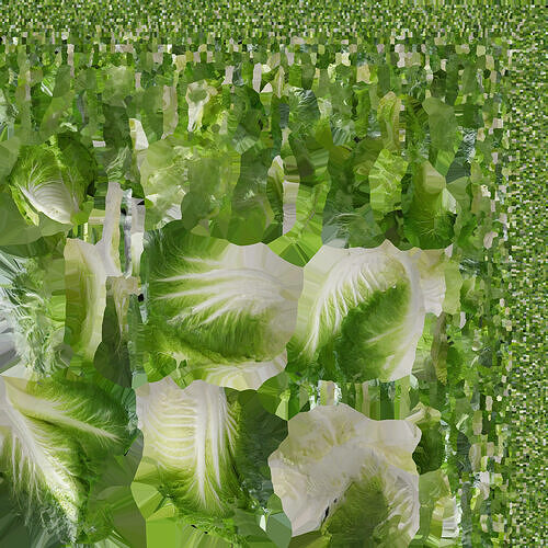 lettuce  Low-poly 3D model 6