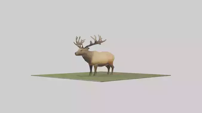 Elk standing in meadow model Low-poly 3D model