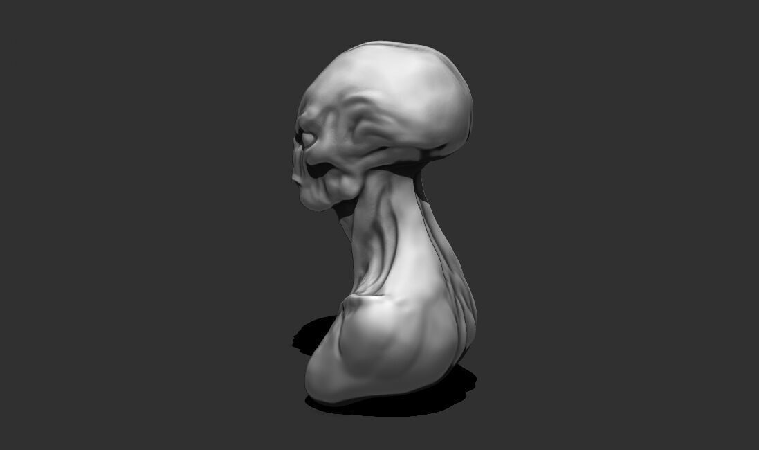Alien Bust 7 - Detailed Humanoid 3D Print Model 3D print model_10