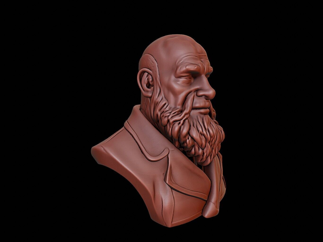 Vitus Bering Bust 3D print model_1