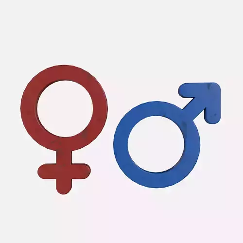 Genders symbols Stained Plastic