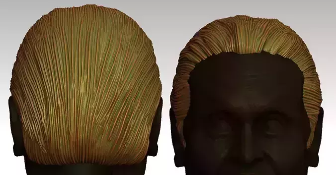 3D Hair style for Man V19 3D print model