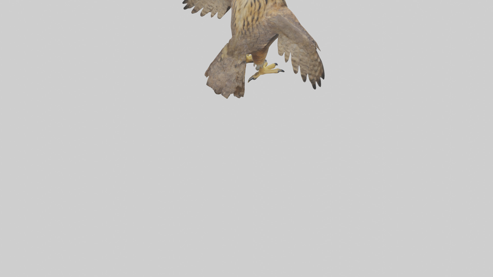 Eurasian Eagle Owl perching model Low-poly 3D model_5