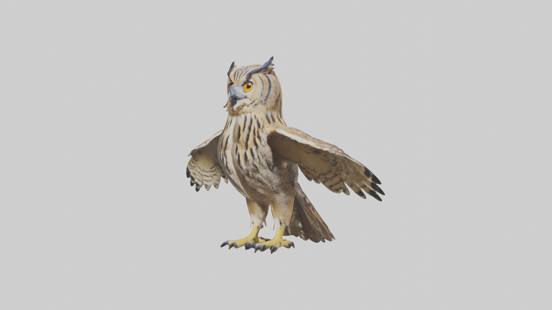 Eurasian Eagle Owl perching model Low-poly 3D model_11